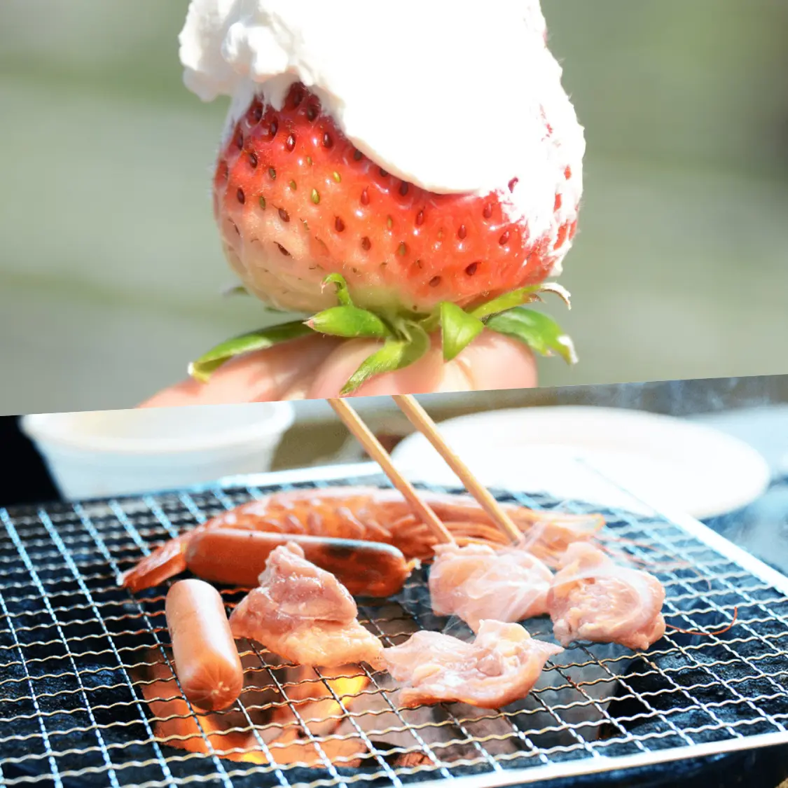 いちご狩り+食材付きBBQ